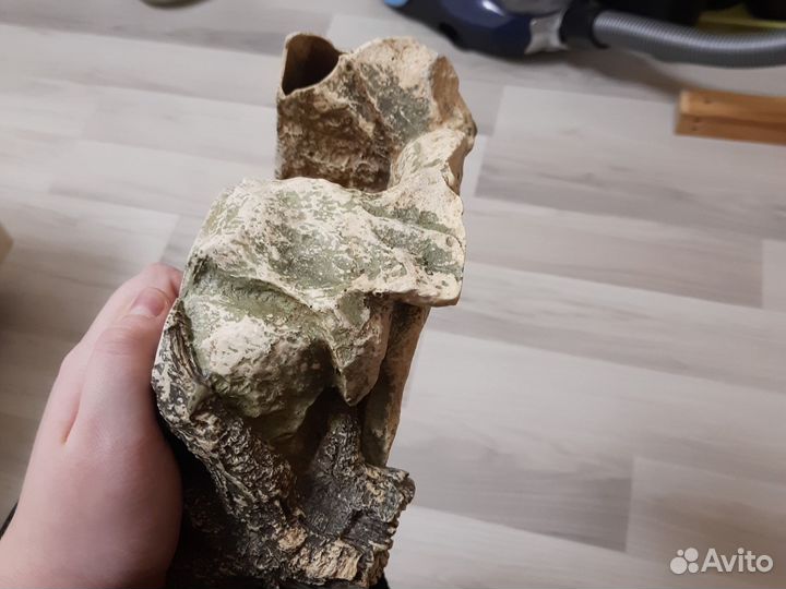 Пророщённый корм для попугаев