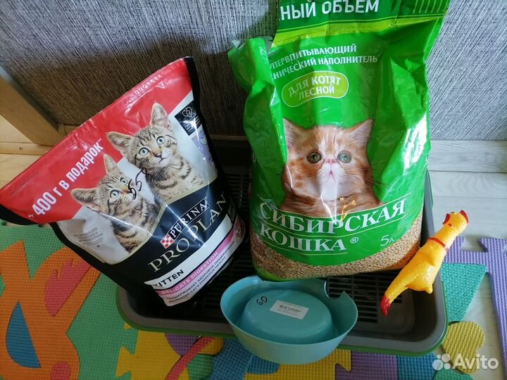 Для котенка