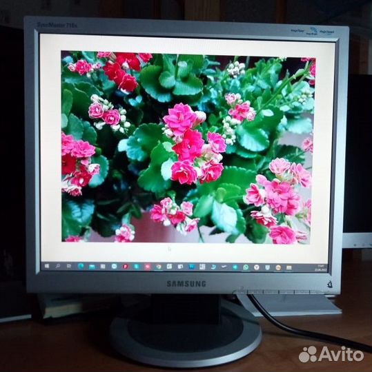 Монитор Samsung 710N