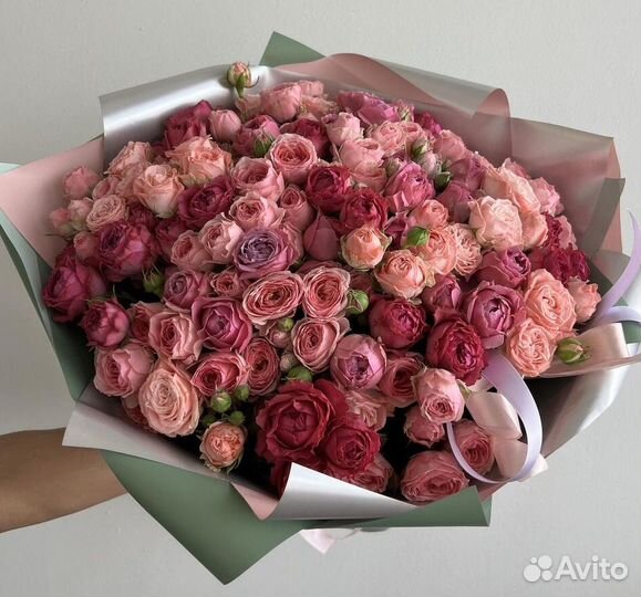 101 роза 31 51 роза Цветы