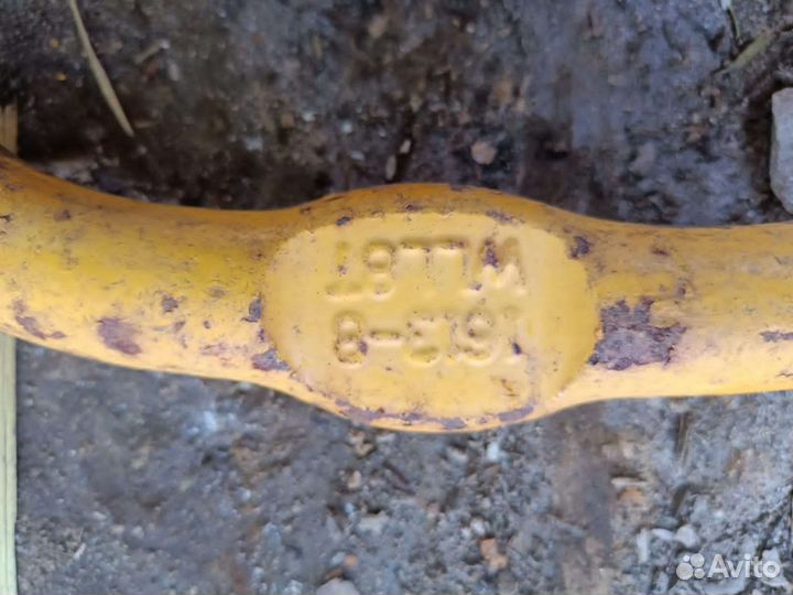 Паук цепной