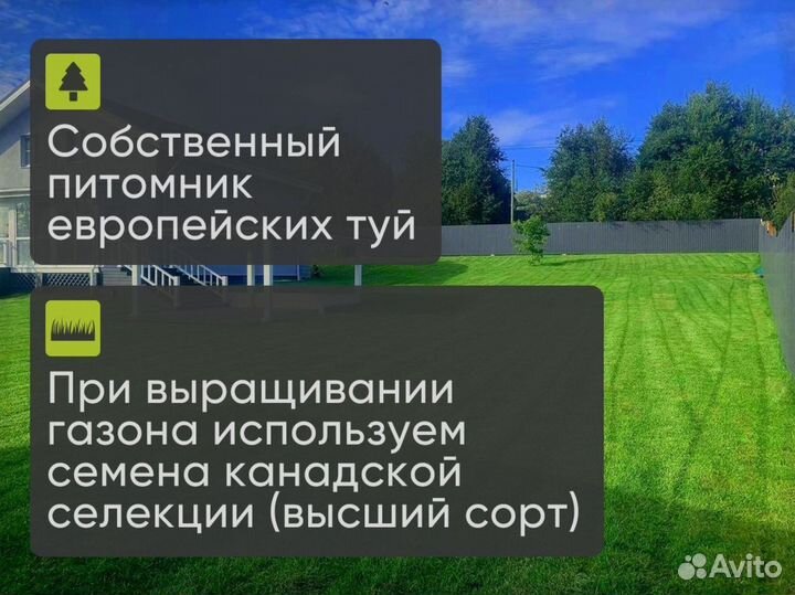 Газон в рулонах для плодородной почвы