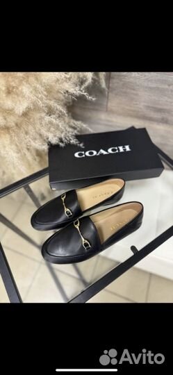 Лоферы coach оригинал