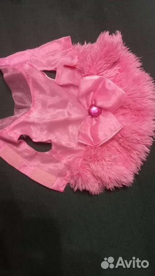 Одежда для животных