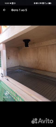 Брудер для цыплят