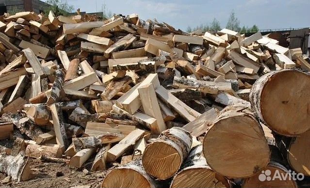 Дрова берёза