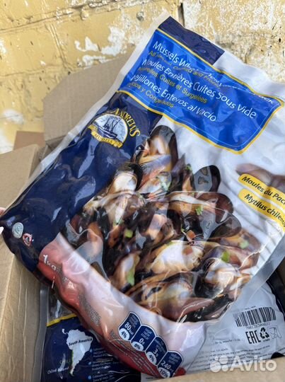 Мидии в раковине целые