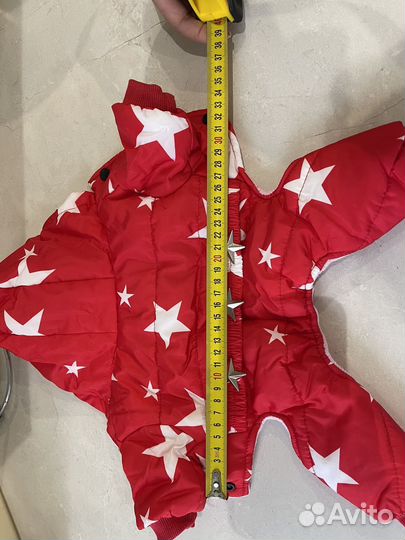 Одежда для собак