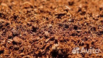 Торф верховой