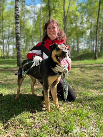 Джек ищет дом