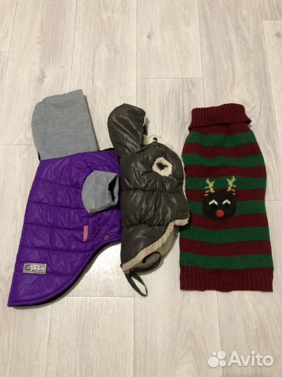 Вещи для собаки