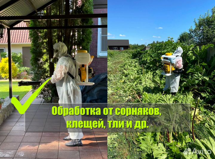 Уничтожение клопов, тараканов, клещей, ос, комаров