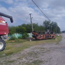 Санкт-Петербургте көкжидек жинайтын комбайн сатып алыңыз