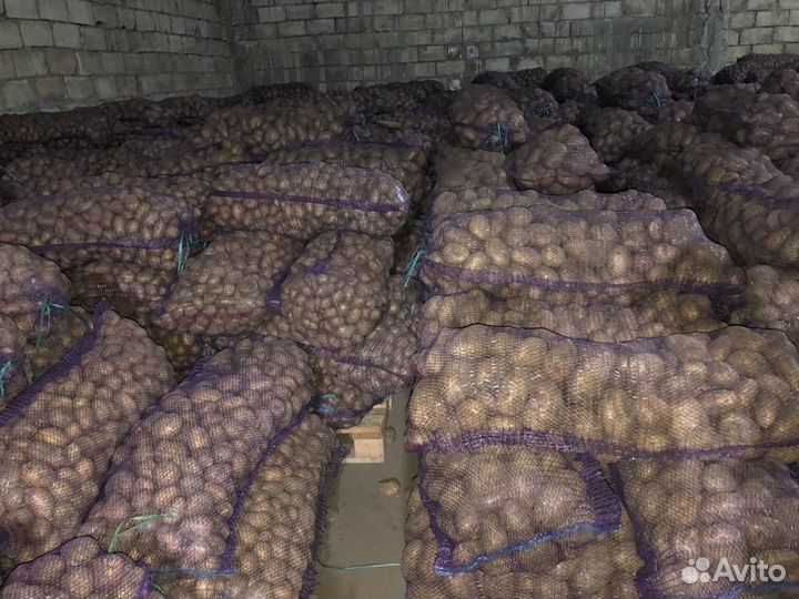 Продам картофель