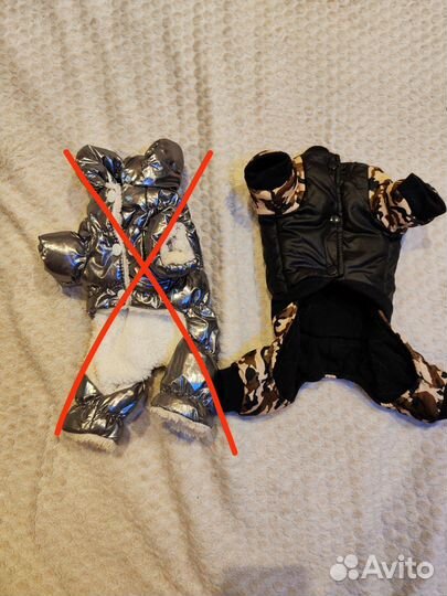 Костюм для собаки