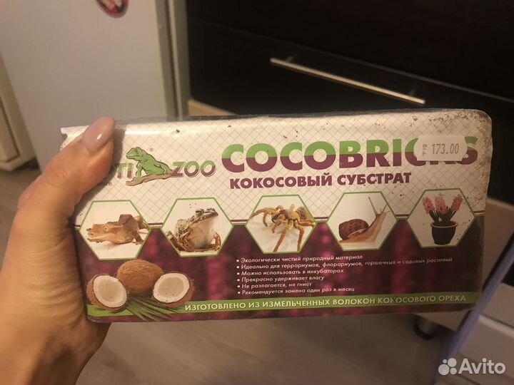 Контейнер-аквариум для земноводных (ахатин)