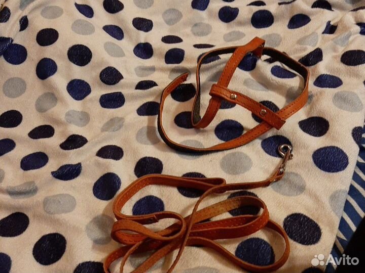 Шлейка с поводком