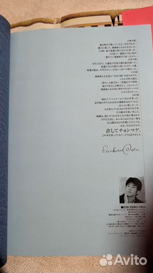 Ван пис Артбук японская