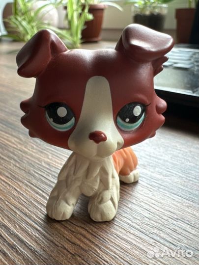Littlest Pet Shop колли