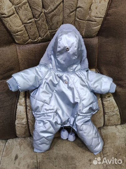 Комбинезон для маленькой собаки девочки