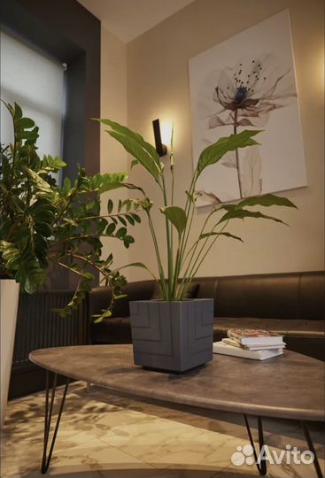 Кашпо квадро для цветов