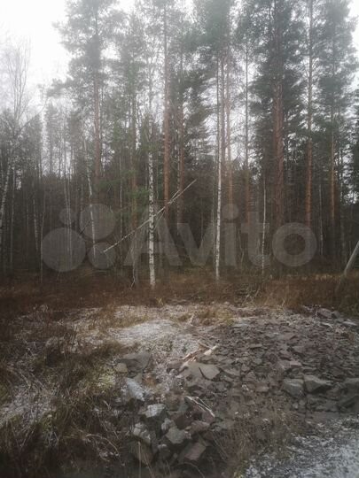 Участок 11 сот. (СНТ, ДНП)