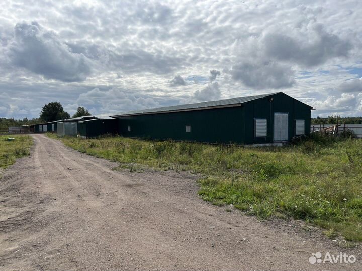 Животноводческая ферма (Эко туризм) продаю