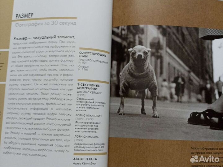 Брайан дилг - фотография за 30 секунд