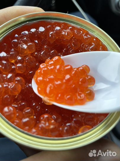 Икра красная горбуши 2023 Камчатка