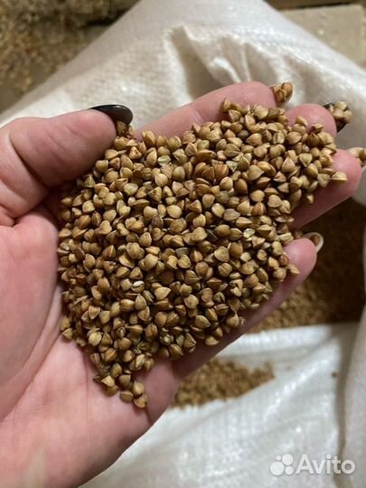 Гречневая крупа пищевая