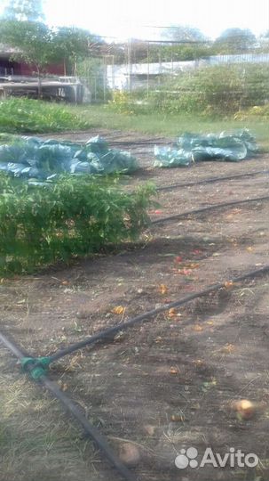 Полив для огорода