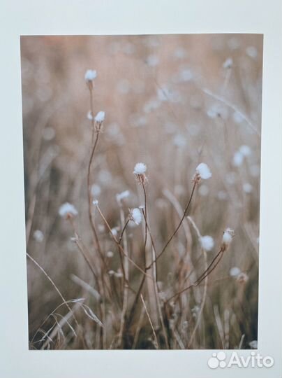 Фотографии природы