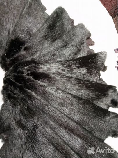 Канадский бобр крашенный черный натуральный мех