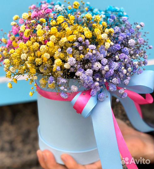 Коробочки с Радужной Гипсофилой. Цветы для Девушки