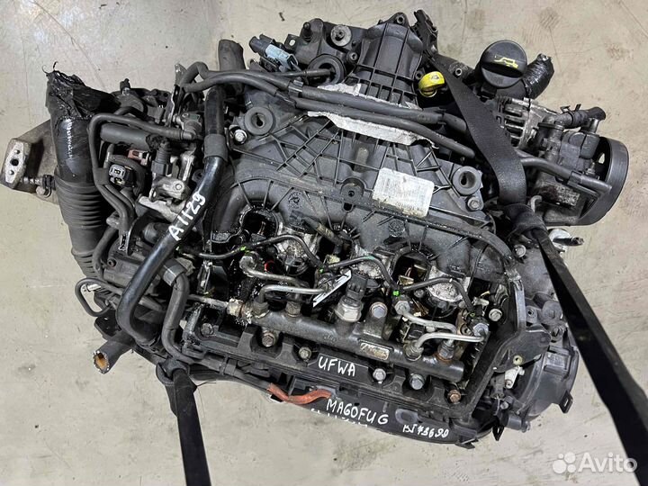 Двигатель Ford Mondeo txba; 1681986; 9M5Q6006BA ;