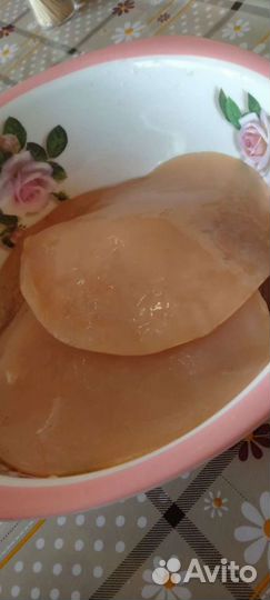 Чайный гриб и уксус чайного гриба