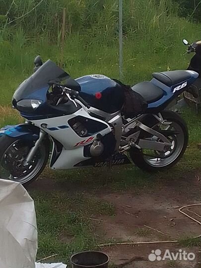 Пидорка авито