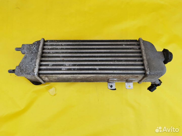 Интеркулер Kia Ceed 1ED