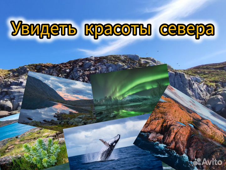 Морская рыбалка