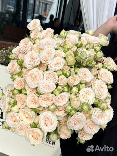 Кустовые пионовидные розы