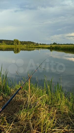 Участок 25,3 сот. (ИЖС)