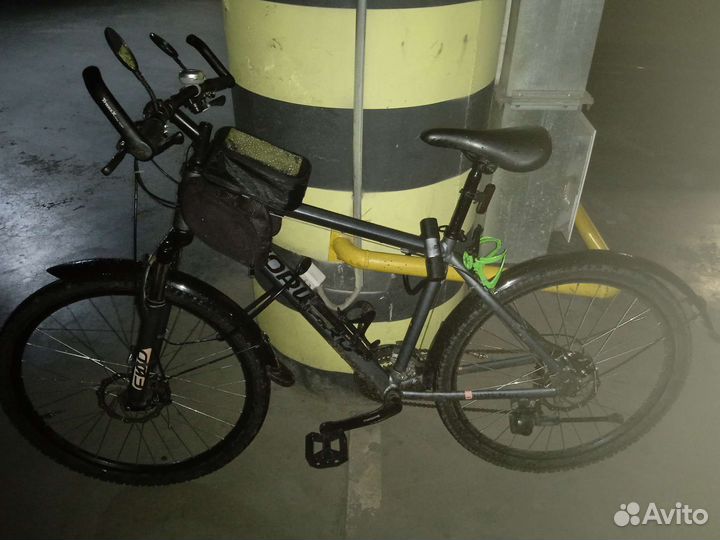 Forward Hardi 2.0 Disc