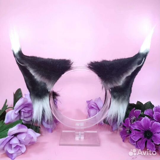 Ушки чёрного мейн куна / рыси на ободке