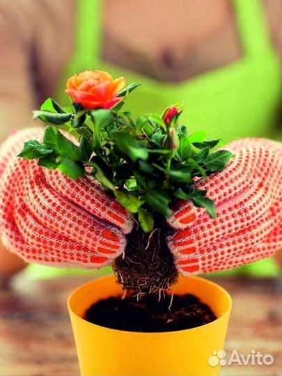 Грунт для розы 5 л