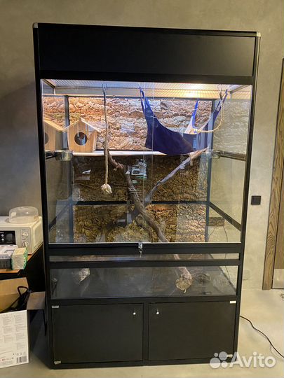 Террариумы для игуан, лемуров, галаго, обезьянок