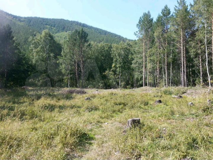 Участок 20 сот. (ИЖС)