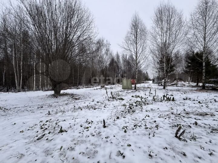 Участок 10,3 сот. (ИЖС)