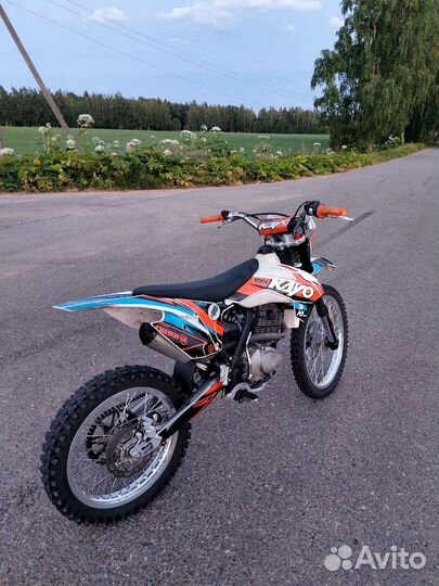 Kayo k1 2022