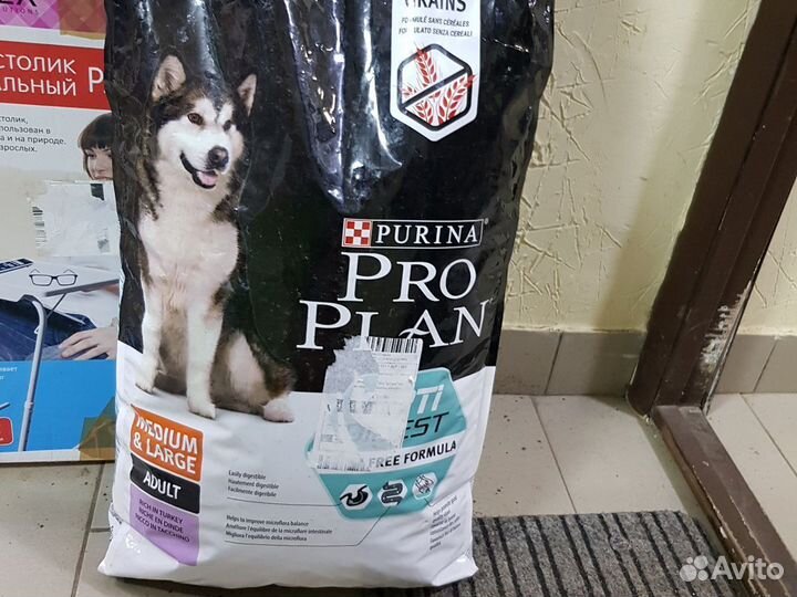 Корм для собак