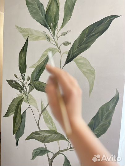 Роспись стен Москва